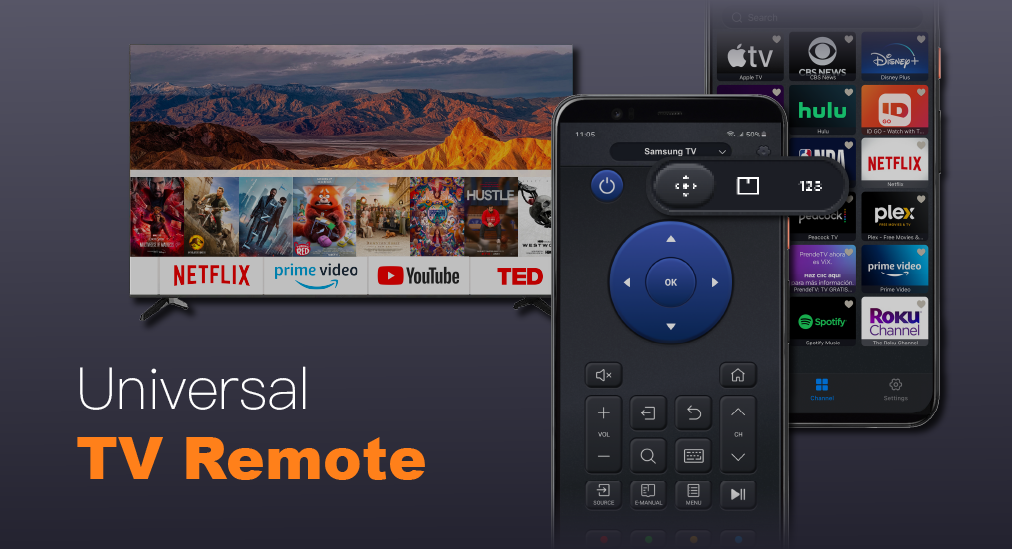 Universal TV Remote